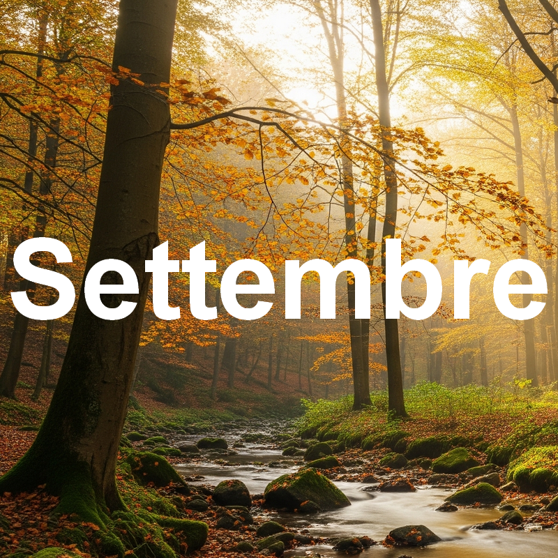 Settembre – Il Coraggio del Distacco Settembre – Il Coraggio del Distacco