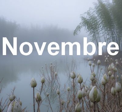 Novembre – La Nebbia Gentile Novembre – La Nebbia Gentile