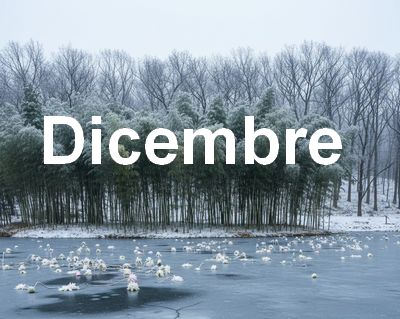 Dicembre – Ogni Fine è un Nuovo Inizio Dicembre – Ogni Fine è un Nuovo Inizio